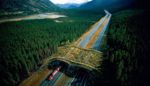 Shangrala's Beautiful Bridges 3