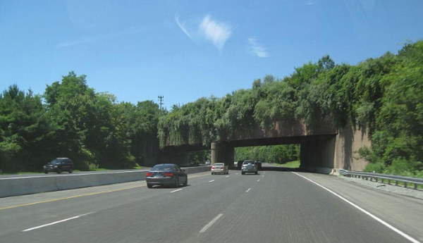 Shangrala's Beautiful Bridges 3