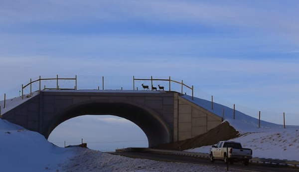 Shangrala's Beautiful Bridges 3