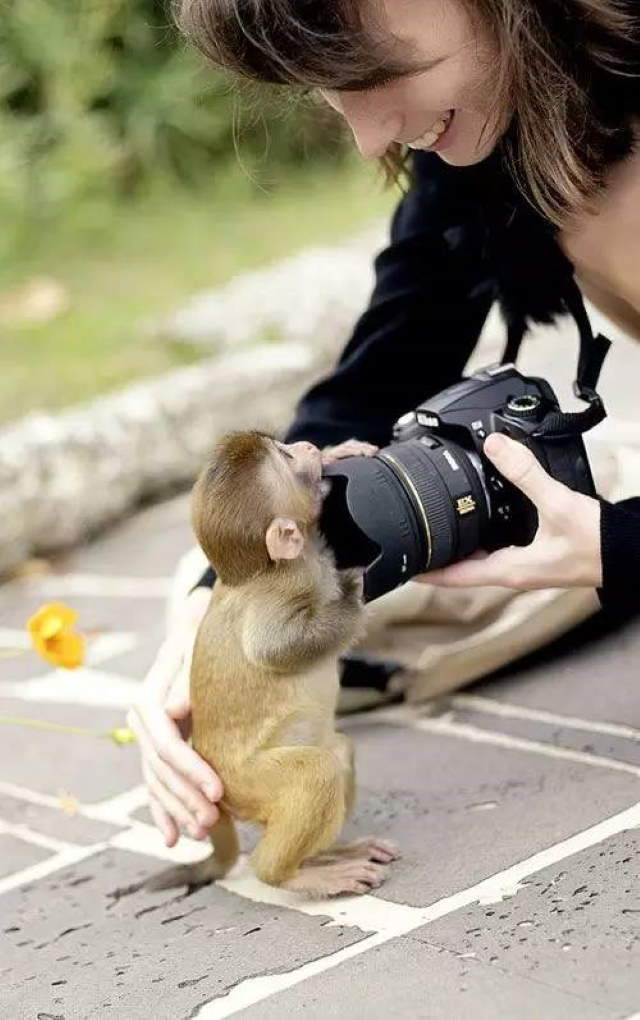 Shangrala's Budding Photographers 2