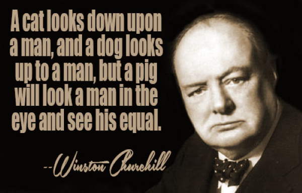 Shangrala's Winston Churchill Quotes