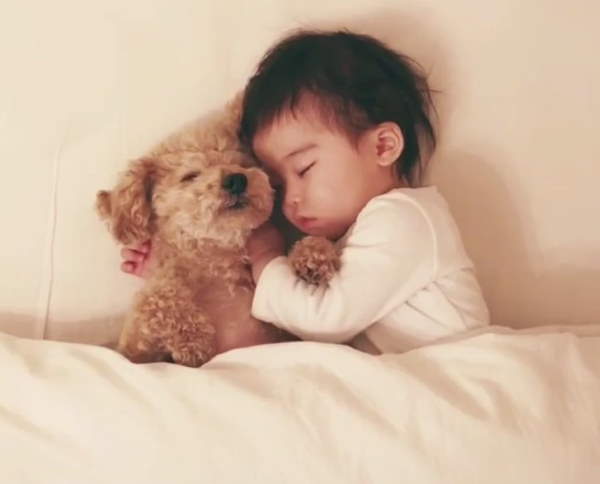 Shangrala's Why Dogs Are Good For Kids