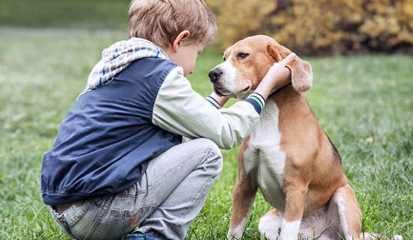 Shangrala's Why Dogs Are Good For Kids