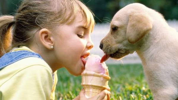 Shangrala's Why Dogs Are Good For Kids