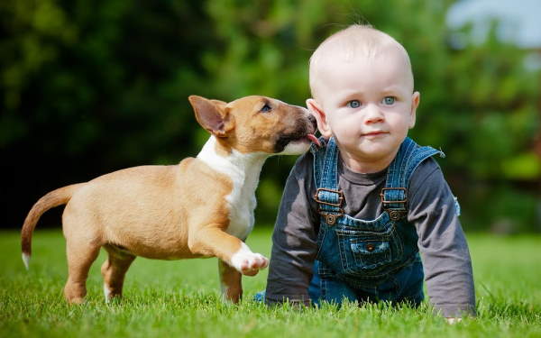 Shangrala's Why Dogs Are Good For Kids