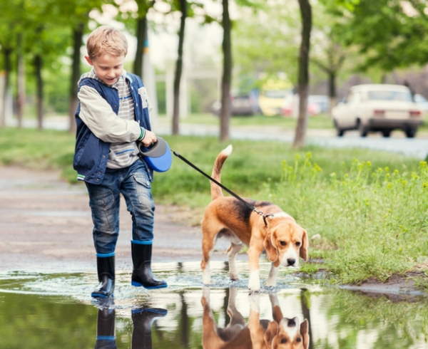 Shangrala's Why Dogs Are Good For Kids