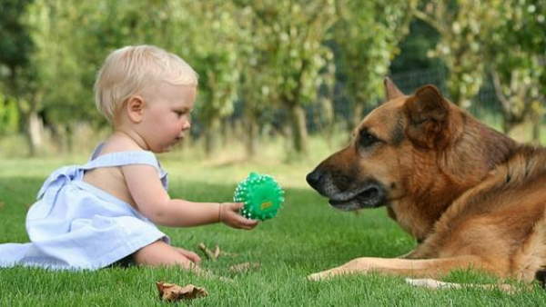 Shangrala's Why Dogs Are Good For Kids