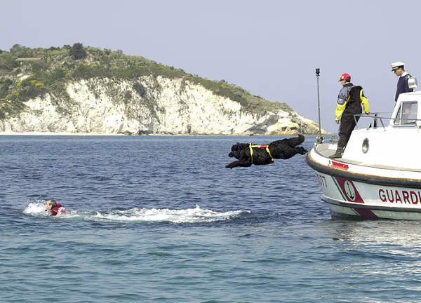 Shangrala's Italy's Lifeguard Dogs