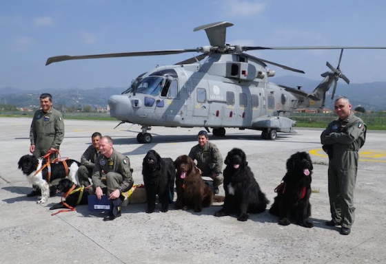 Shangrala's Italy's Lifeguard Dogs