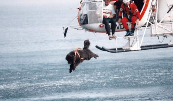 Shangrala's Italy's Lifeguard Dogs