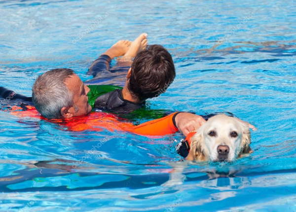 Shangrala's Italy's Lifeguard Dogs