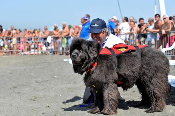 Shangrala's Italy's Lifeguard Dogs