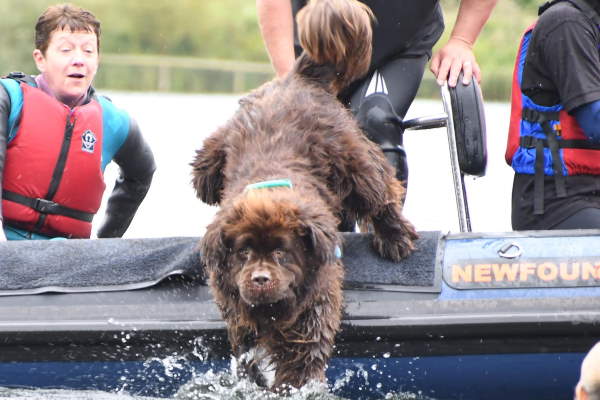 Shangrala's Italy's Lifeguard Dogs