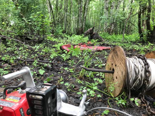 Shangrala's Rescued Moose