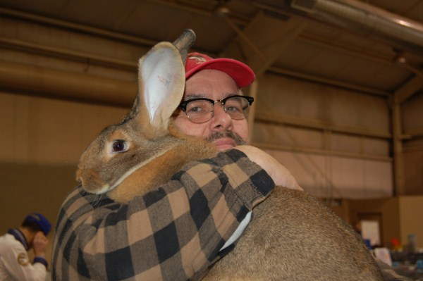 Shangrala's Big Beautiful Rabbits