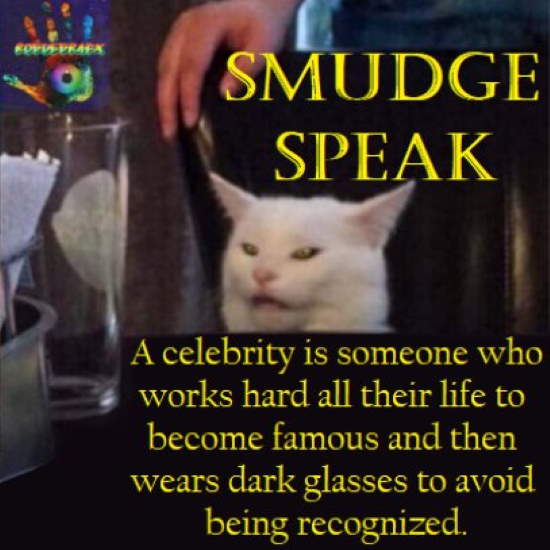 Shangrala's Smudge The Cat 2