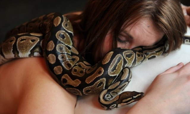 Shangrala's Pet Python