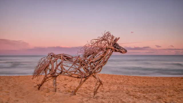 Shangrala's Driftwood Art 2