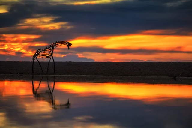 Shangrala's Driftwood Art 2