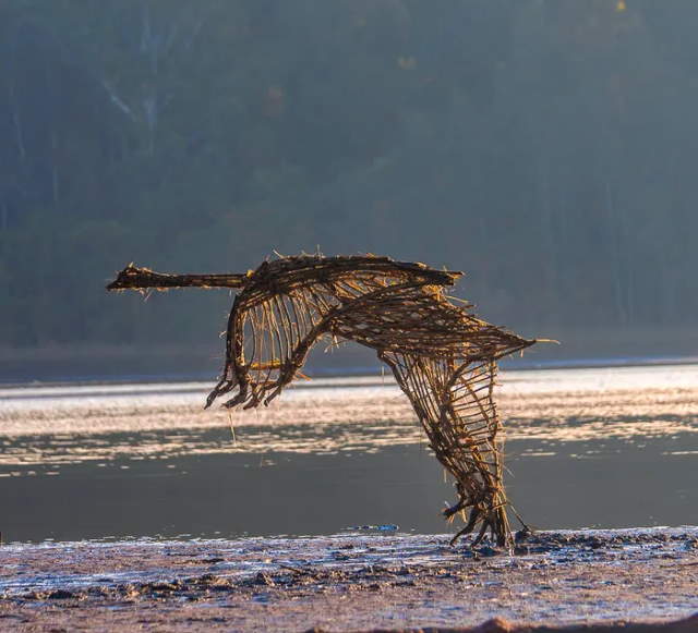 Shangrala's Driftwood Art 2