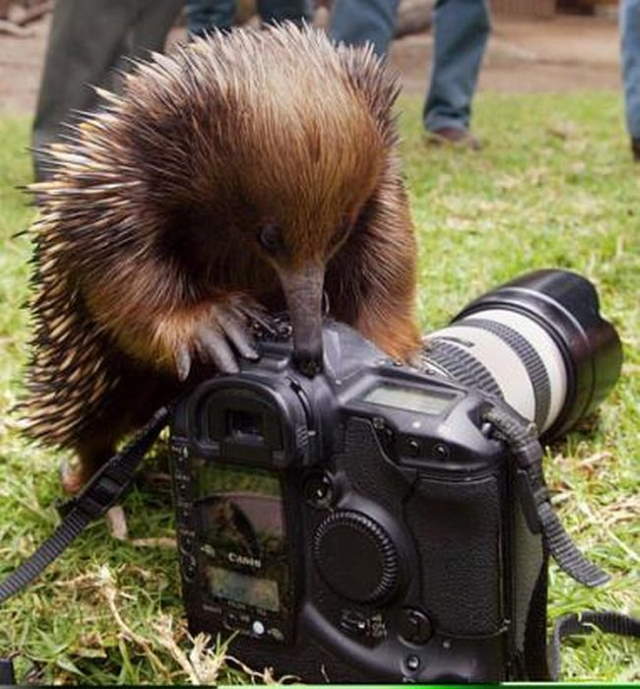 Shangrala's Budding Photographers 3