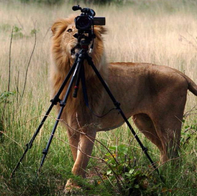 Shangrala's Budding Photographers 3