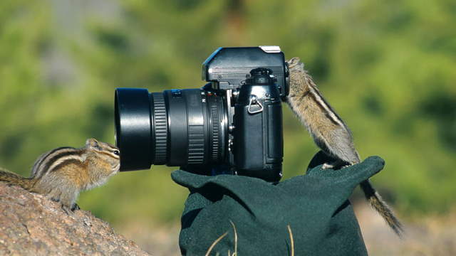 Shangrala's Budding Photographers 3