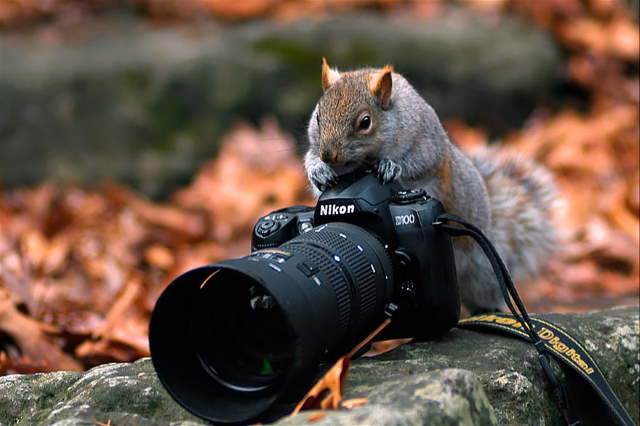 Shangrala's Budding Photographers 3