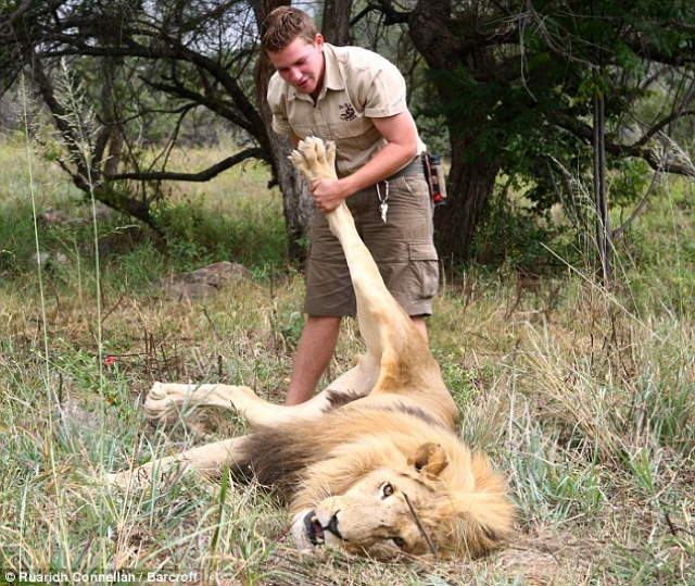 Shangrala's Lion Massages