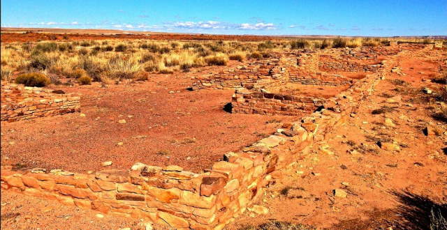 Shangrala's Amazing Petrified Forest