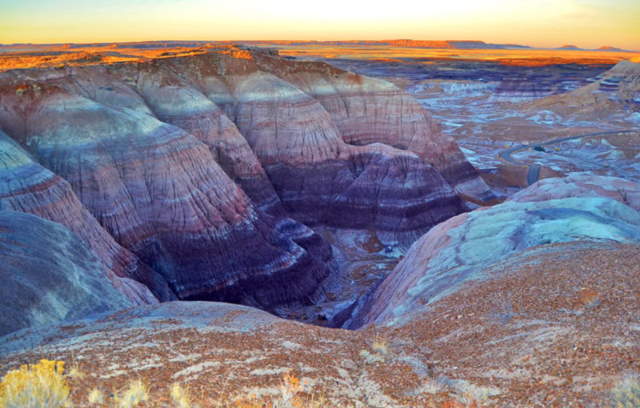 Shangrala's Amazing Petrified Forest