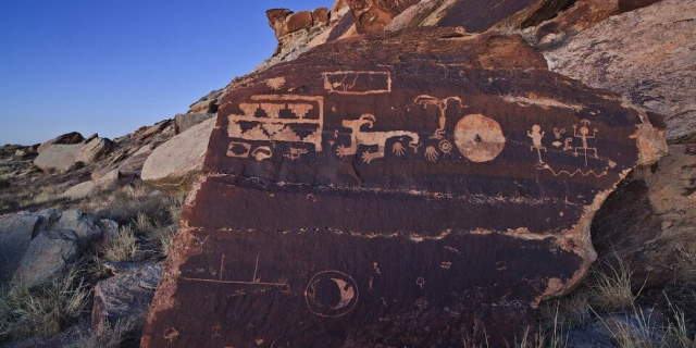 Shangrala's Amazing Petrified Forest