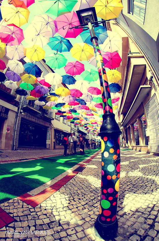 Shangrala's Umbrella Sky Project