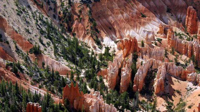 Shangrala's Scenic US Route 66 West