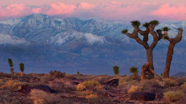 Shangrala's Scenic US Route 66 West