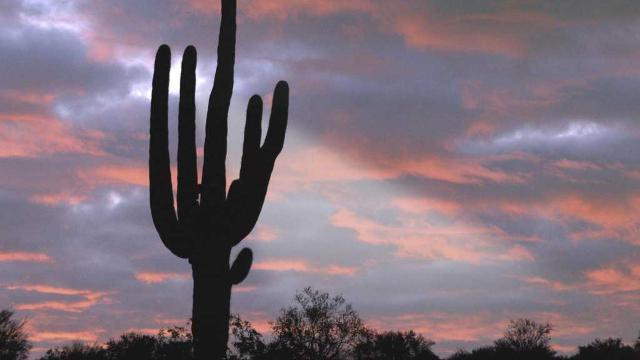 Shangrala's Scenic US Route 66 West