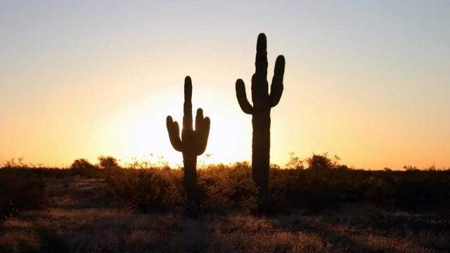 Shangrala's Scenic US Route 66 West