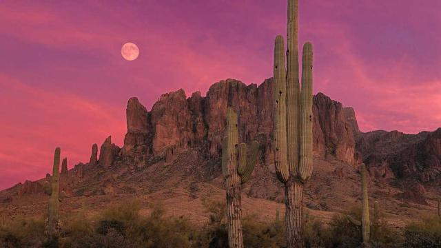 Shangrala's Scenic US Route 66 West