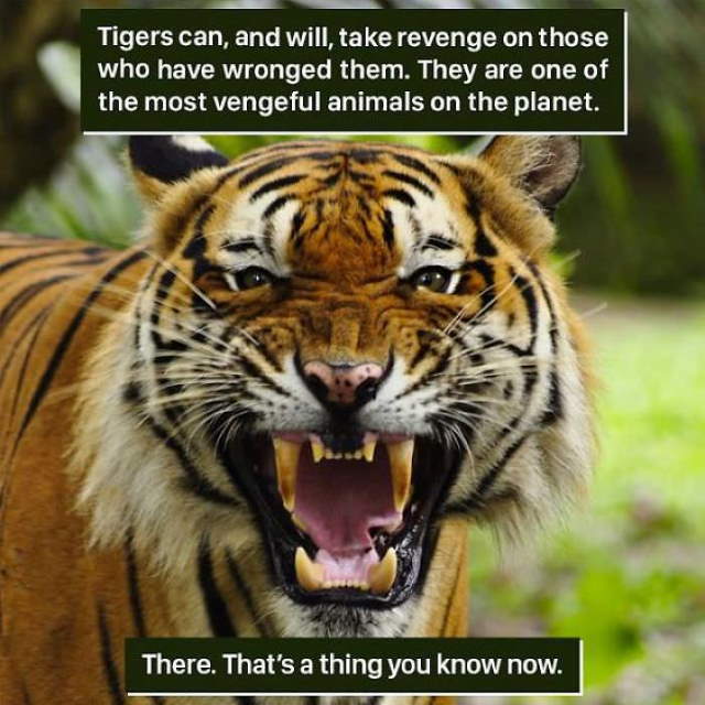 Shangrala's Amazing Animal Facts 3