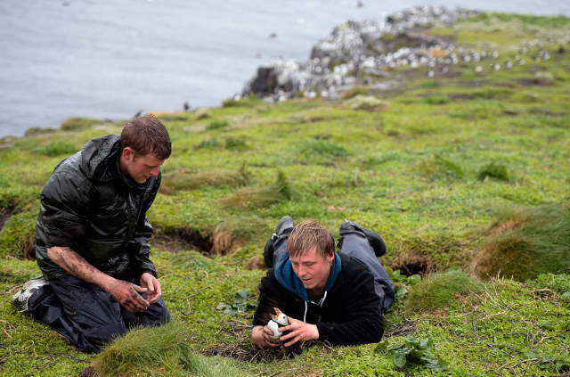 Shangrala's Farne Islands Wildlife