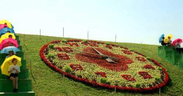 Shangrala's Holland's Garden Art