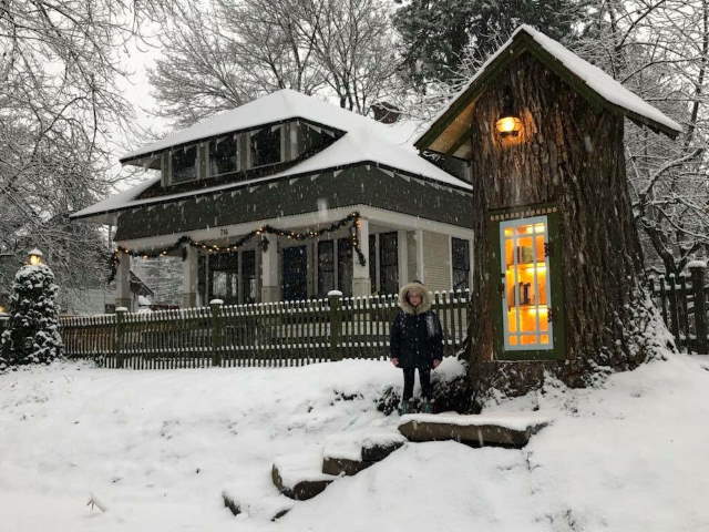 Shangrala's Little Tree Library