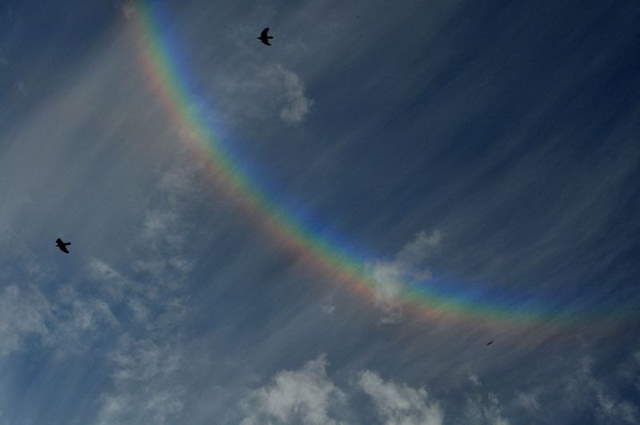 Shangrala's Beautiful Rainbows