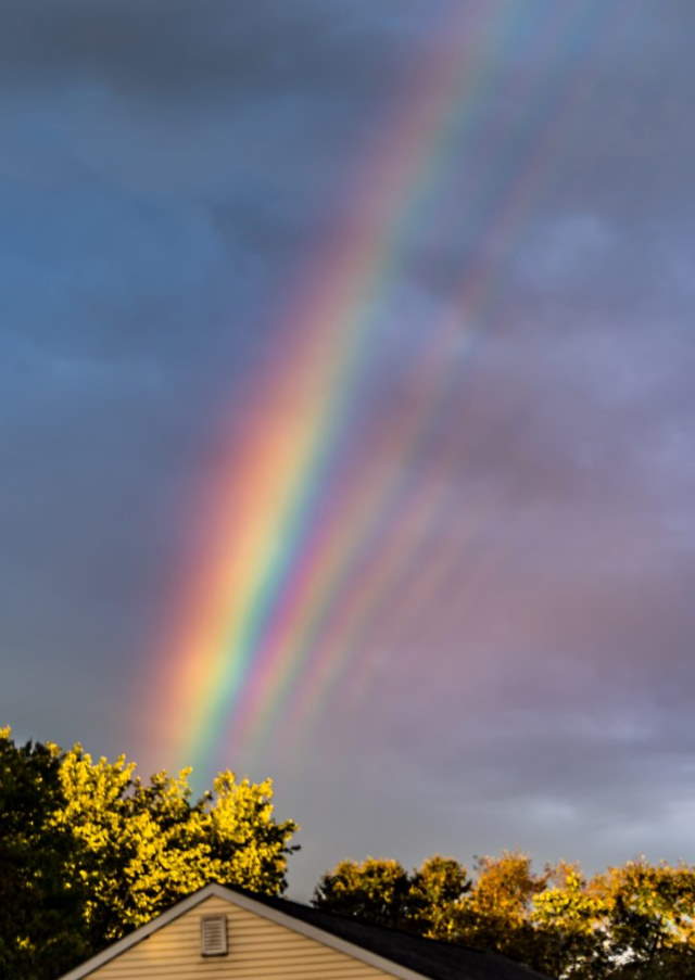 Shangrala's Beautiful Rainbows