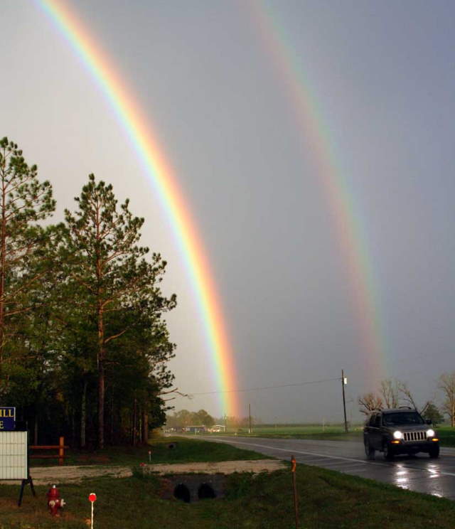 Shangrala's Beautiful Rainbows