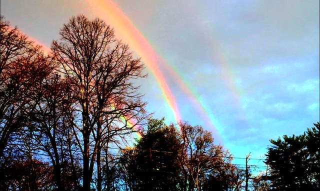 Shangrala's Beautiful Rainbows