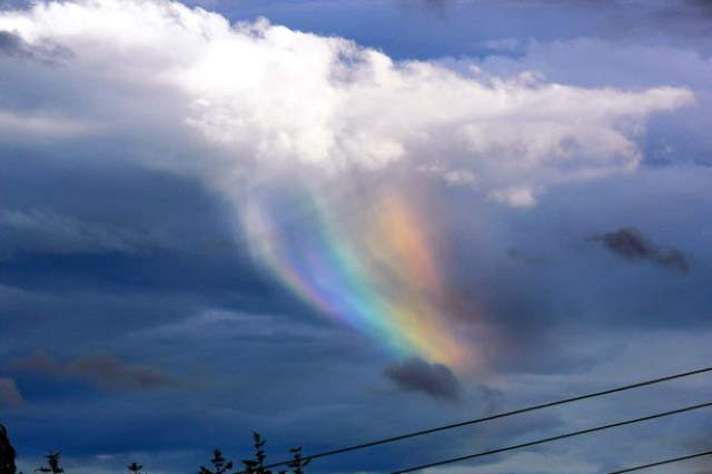 Shangrala's Beautiful Rainbows