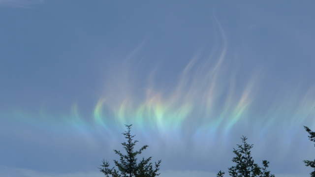 Shangrala's Beautiful Rainbows