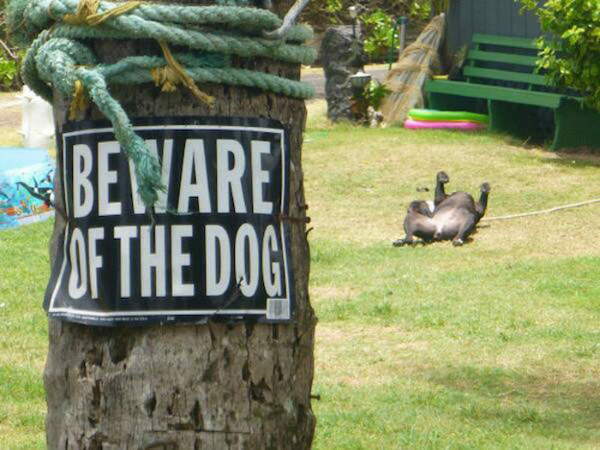 Shangrala's Beware Of Dog Signs 2