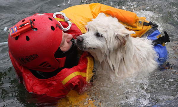 Shangrala's Firefighter Animal Rescues